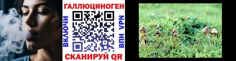Псилоцибиновые грибы мицелий  купить   Родники 